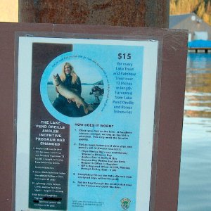 Earn money fishing!