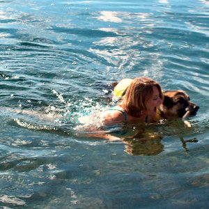 Retrievers
