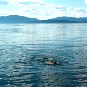 Ripples