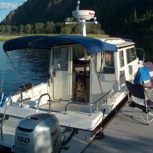 Stray Cat on the Clark Fork Delta