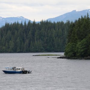 Thorne Arm, near Ketchikan, AK