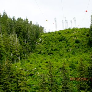 Media 'Powerlines from Snettisham hydroelectric facility' in album 'Port Snettisham inlet'