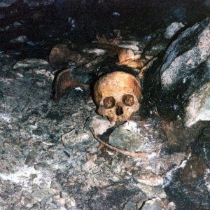 Media 'This site is not on Quatsino Sound.' in album 'This is where the highway to Port Alice crosses the Marble River.  Years ago I kayaked down the river and then paddled to Coal Harbor to run the shuttle.  Lots of caves along the river, some showing signs of human habitation.'