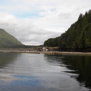 I then went to Holberg because nobody goes to Holberg.  This is the marina.   Holberg is a mile away.