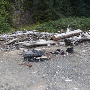 There was a picnic area and BBQ with free firewood.