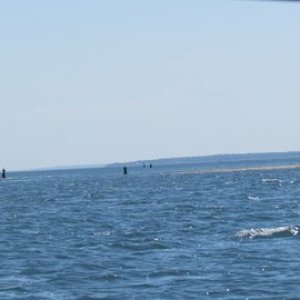 tight exit / entrance to Coecles Harbor see sand bar stretching out from the starboard side. Surf fisherman on the port side