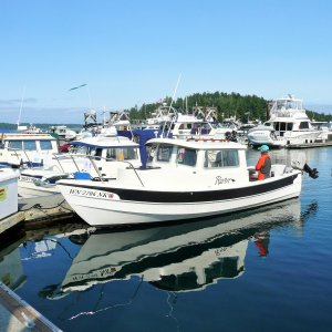Media 'Saturday May 16th Friday Harbor' in album 'Clinton. May 3, 2015'