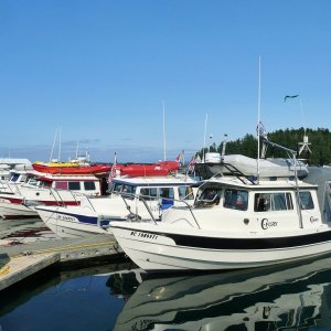 Media 'Saturday May 16th Friday Harbor' in album 'Clinton. May 3, 2015'