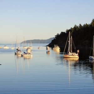 My boat is always the smallest one in the harbor.  Can you spot the C-dory 16?  Perhaps "Waldo" would be a fitting name for the boat.