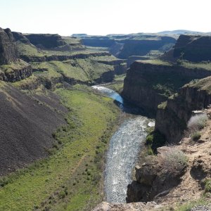 I scaled the canyon walls to scout the river.