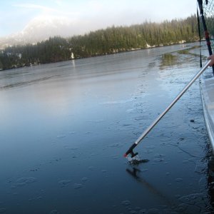 IMG 3445