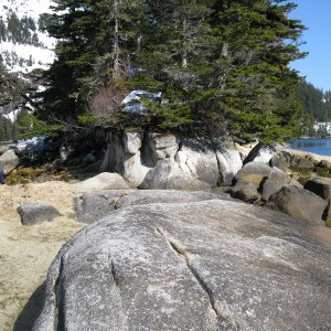 IMG 3482