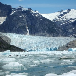 Le Conte Glacier.  Southern most tide-water glacier in N. America.  Maybe the planet.