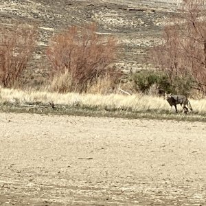 Green River, WY