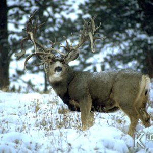 image0022