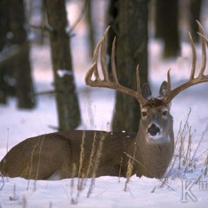 image0066