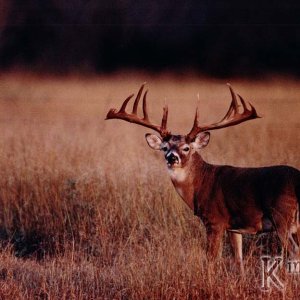 image0088