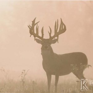 image01010