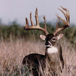 image01111