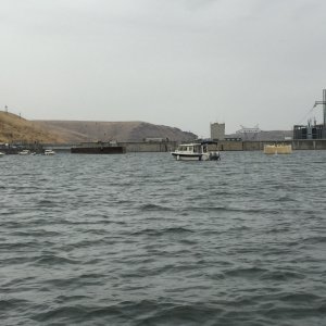 Waiting for the Little Goose lock