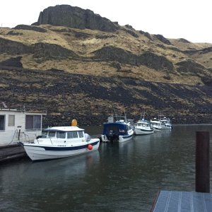 Lyons Ferry Marina