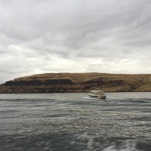 Cat Claw on the Snake River
