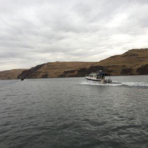 Vega on the Snake River