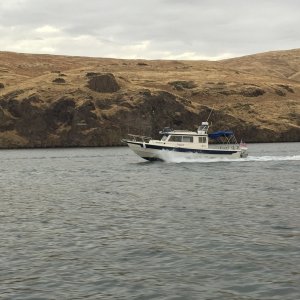 Vega on the Snake River