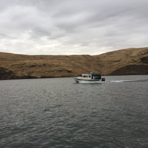 Far C on the Snake River