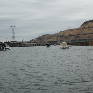 Waiting for the Lower Monumental Lock