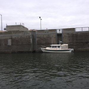 Cat Claw in the Lower Monumental Lock