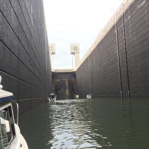 In the Ice Harbor Lock