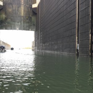 Ice Harbor Lock. Look closely on the right lock wall and you can see a Bollard that we wrap a line around. Nice that they have one low hook for our small boats to reach.