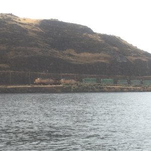 One of the  many trains going along the tracks both sides of the River