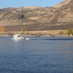 Fishing platforms along the shoreline