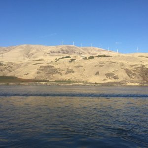 Wind vanes on top the hill.  Not sure what type of plantation that is along the shore.