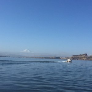 Mt. Hood off in the far distance