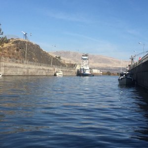 The Tug Mary B joining us in The Dalles Lock