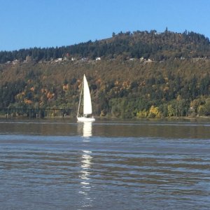 Sailboat near Port Hood River