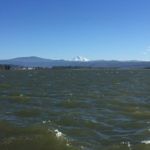 View of Mt. Hood from our dock at Port of Camas