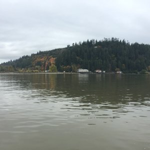 Homes along the shore
