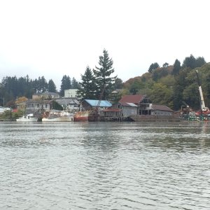 Cathlamet shoreline