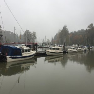 Tied up at  Cathlamet