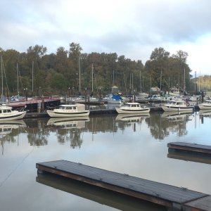 Better shot of our boats tied up at the \"Elochoman\" Marina!