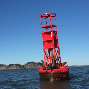 Buoy 10, End of the River