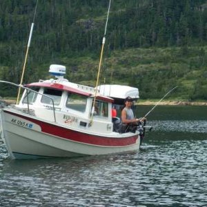Red Fox fishing.JPG