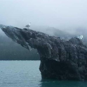 One dirty berg.JPG