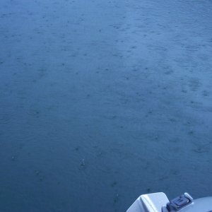 A steady medium weight rain, all night, no water in the cockpit.