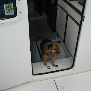 img 0607