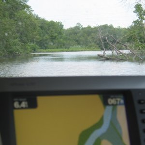 Media 'Broadkill River narrow but deep' in album 'Broadkill River narrow but deep'